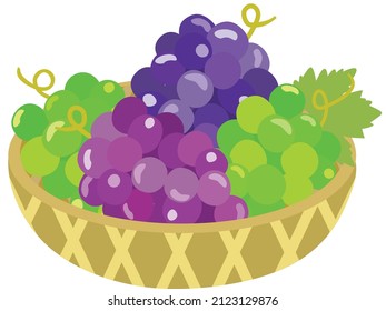 Many bunch of grapes in the basket.