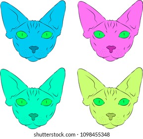 many colors cats