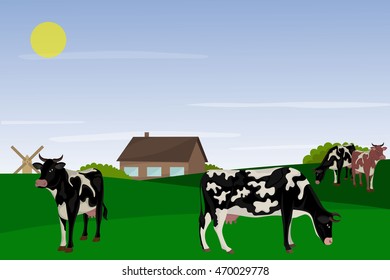 many cows grazing on a background of farm and windmill
