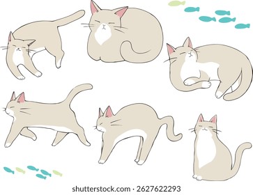 Many cream-colored cats were gathered.