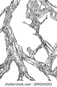 Muchas ramas de árbol raspadas y secas esbozan ilustraciones vectoriales dibujar mano