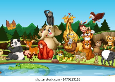 Many cute animals by the pond illustration