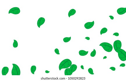 Many Cute Green Leaves of Different Size on White Background