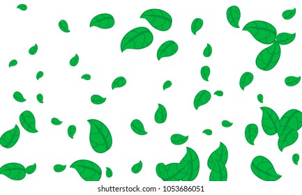 Many Cute Green Leaves of Different Size on White Background