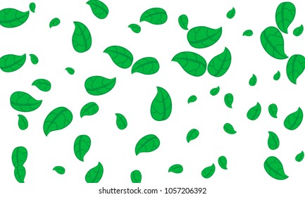 Many Cute Green Leaves of Different Size on White Background