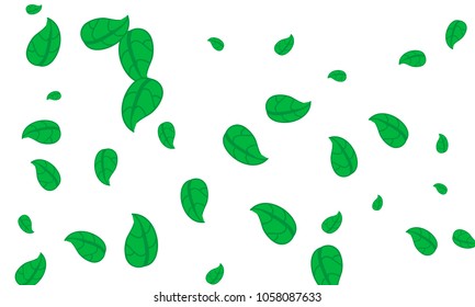 Many Cute Green Leaves of Different Size on White Background