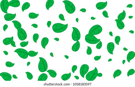 Many Cute Green Leaves of Different Size on White Background