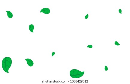 Many Cute Green Leaves of Different Size on White Background