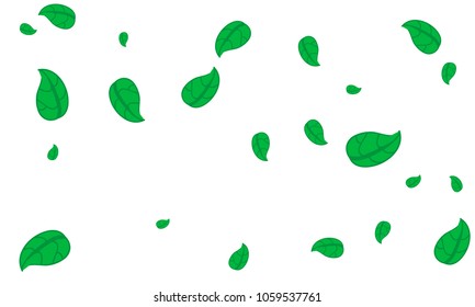Many Cute Green Leaves of Different Size on White Background