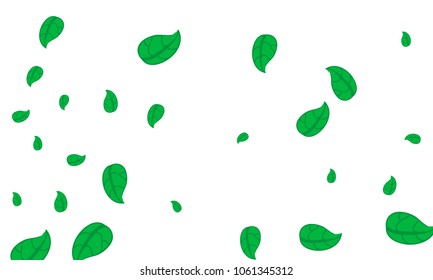 Many Cute Green Leaves of Different Size on White Background