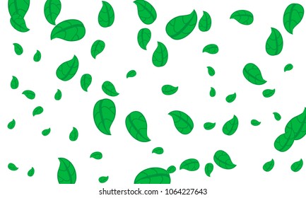 Many Cute Green Leaves of Different Size on White Background