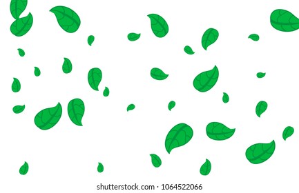 Many Cute Green Leaves of Different Size on White Background
