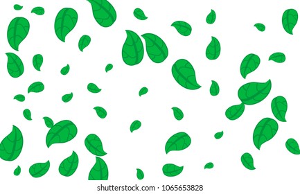 Many Cute Green Leaves of Different Size on White Background