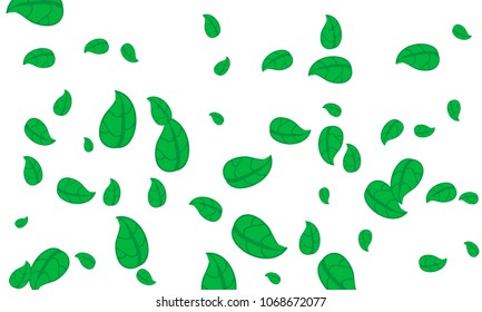 Many Cute Green Leaves of Different Size on White Background