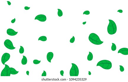 Many Cute Green Leaves of Different Size on White Background