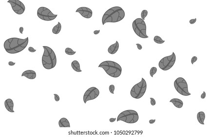 Many Cute Grey Leaves of Different Size on White Background
