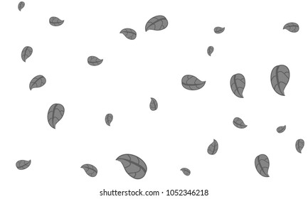 Many Cute Grey Leaves of Different Size on White Background