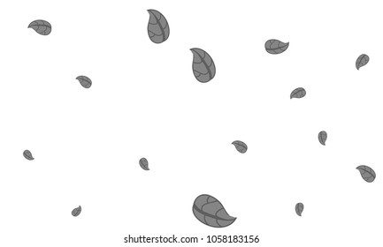 Many Cute Grey Leaves of Different Size on White Background