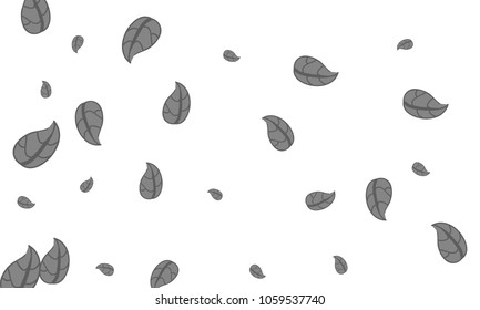 Many Cute Grey Leaves of Different Size on White Background