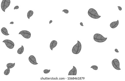Many Cute Grey Leaves of Different Size on White Background