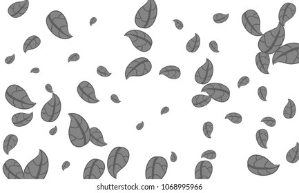 Many Cute Grey Leaves of Different Size on White Background