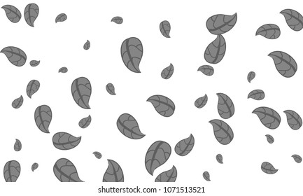 Many Cute Grey Leaves of Different Size on White Background