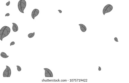 Many Cute Grey Leaves of Different Size on White Background