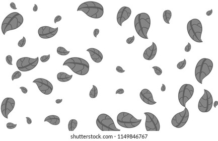 Many Cute Grey Leaves of Different Size on White Background