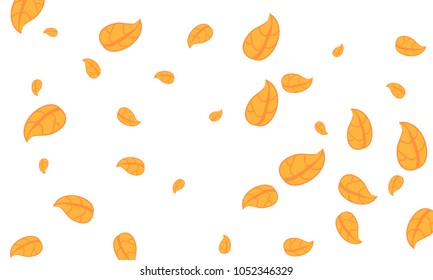 Many Cute Orange Leaves of Different Size on White Background
