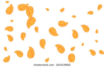 Many Cute Orange Leaves of Different Size on White Background