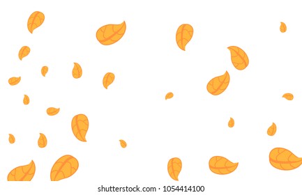Many Cute Orange Leaves of Different Size on White Background