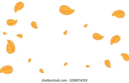 Many Cute Orange Leaves of Different Size on White Background