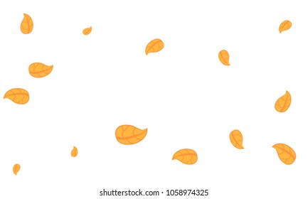 Many Cute Orange Leaves of Different Size on White Background