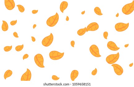 Many Cute Orange Leaves of Different Size on White Background