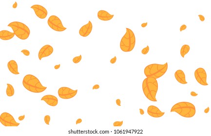 Many Cute Orange Leaves of Different Size on White Background