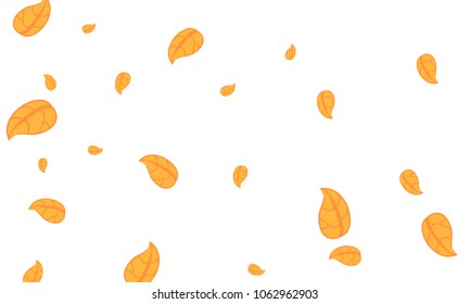 Many Cute Orange Leaves of Different Size on White Background