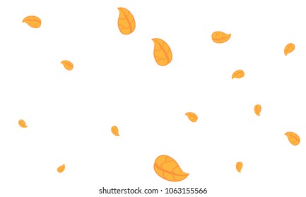 Many Cute Orange Leaves of Different Size on White Background