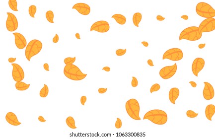 Many Cute Orange Leaves of Different Size on White Background