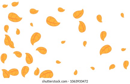 Many Cute Orange Leaves of Different Size on White Background