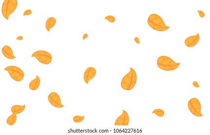 Many Cute Orange Leaves of Different Size on White Background