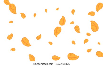 Many Cute Orange Leaves of Different Size on White Background