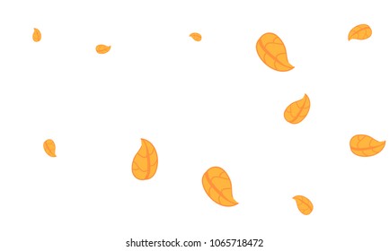 Many Cute Orange Leaves of Different Size on White Background
