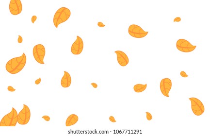 Many Cute Orange Leaves of Different Size on White Background