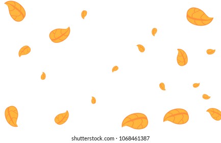 Many Cute Orange Leaves of Different Size on White Background