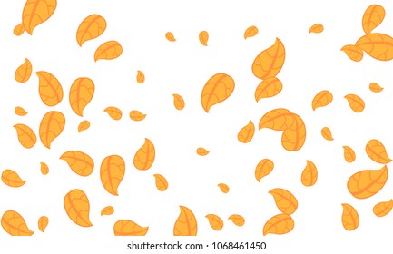 Many Cute Orange Leaves of Different Size on White Background