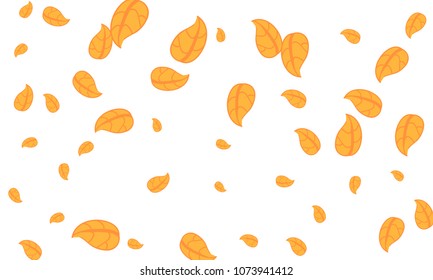 Many Cute Orange Leaves of Different Size on White Background