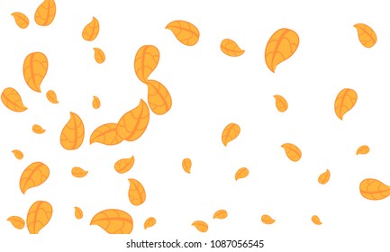 Many Cute Orange Leaves of Different Size on White Background