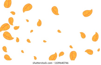 Many Cute Orange Leaves of Different Size on White Background