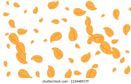 Many Cute Orange Leaves of Different Size on White Background