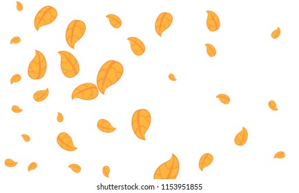 Many Cute Orange Leaves of Different Size on White Background